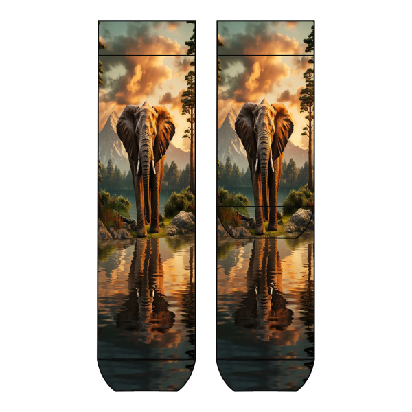 Cool 7 Herrensocken (One Size 41/46) - Motiv - C0172